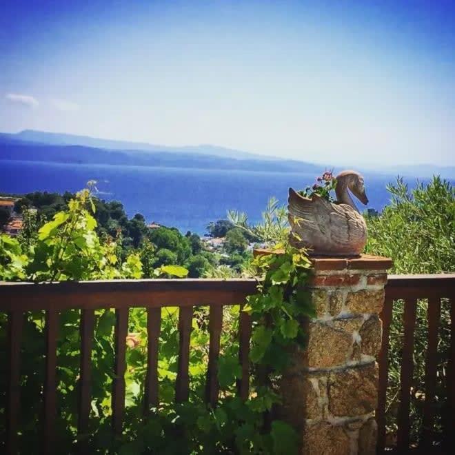 Villa Luxury Nefeli In Skiathos Featuring An Exclusive Private Pool Oasis