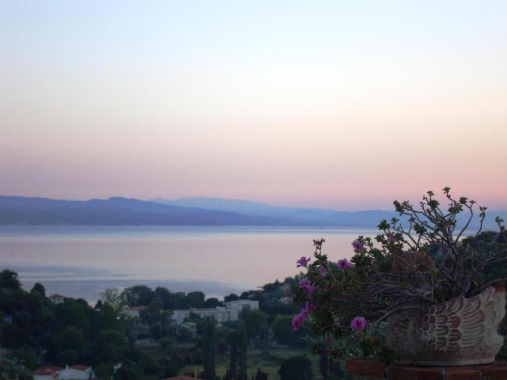 Luxury Nefeli In Skiathos Featuring An Exclusive Private Pool Oasis Villa Troulos